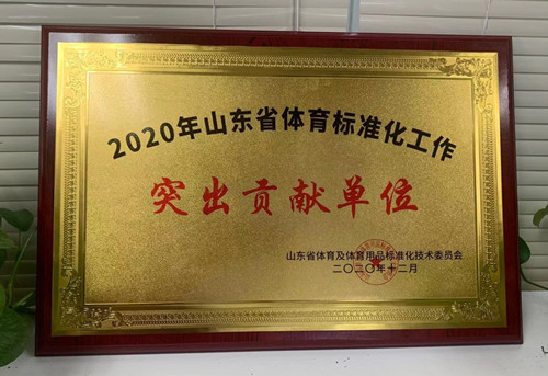 恭喜耀世娱乐体育荣获山东省体育及体育用品标准化技术委员会授予“突出贡献单位”荣誉称号