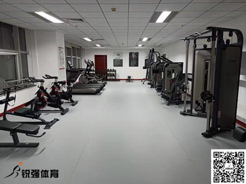 济南某集团采购的耀世娱乐体育提供的健身器材
