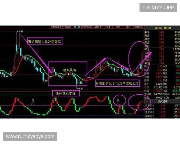 帕尔默能否进入主力阵容:战术适配与竞争格局分析 帕尔默能否进入主力阵容:战术适配与竞争格局分析